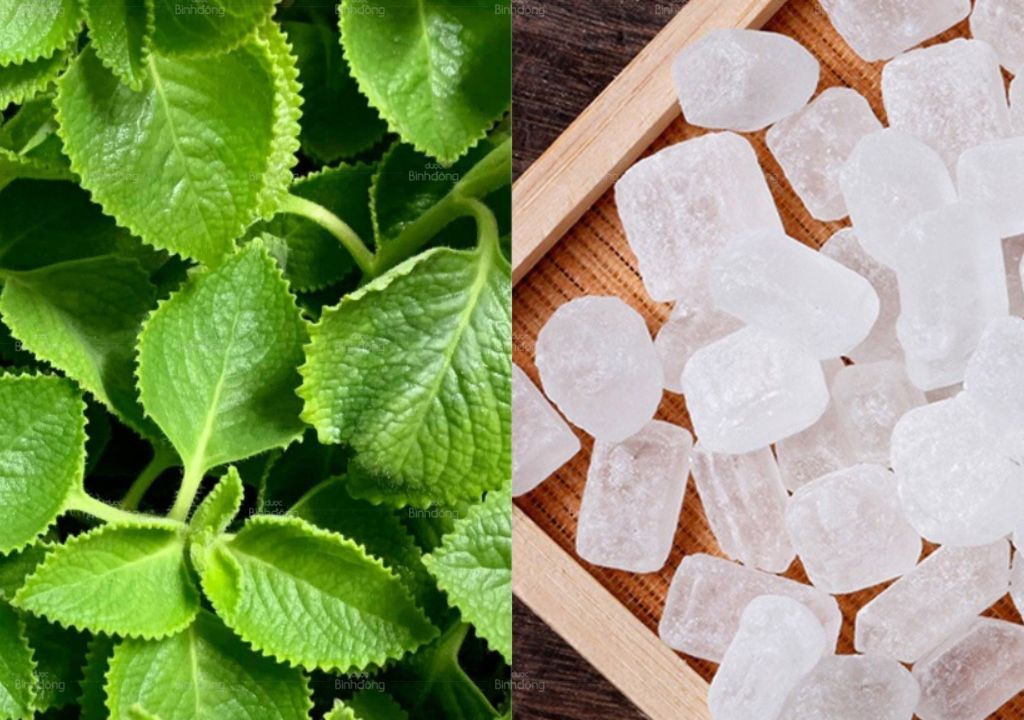Ảnh chụp Siro Húng chanh đường phèn