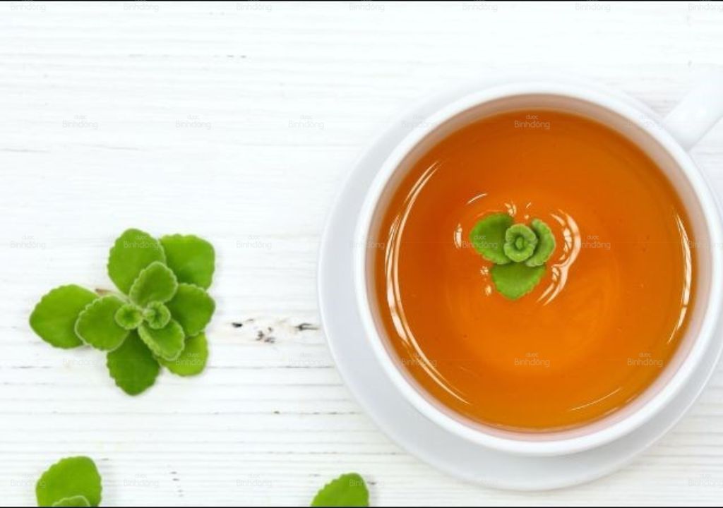 Ảnh chụp Siro Húng chanh và Mật ong