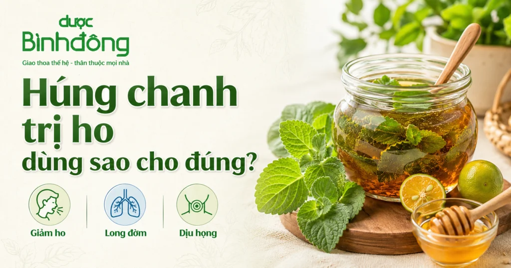 Thumbnail húng chanh trị ho với siro, lá húng chanh và 3 công dụng chính.
