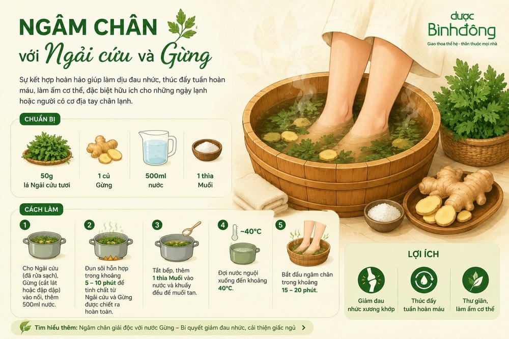Infographic hướng dẫn ngâm chân Ngải cứu với Gừng