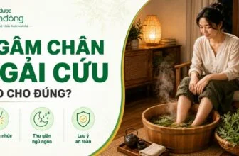 Infographic hướng dẫn ngâm chân Ngải cứu