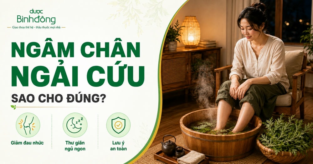 Infographic hướng dẫn ngâm chân Ngải cứu