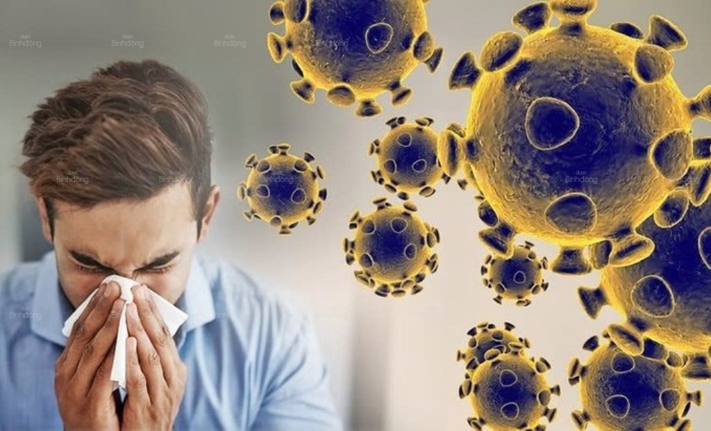 Virus HMPV là một loại virus gây bệnh đường hô hấp phổ biến