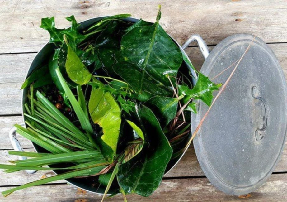 Bạn có thể lựa chọn nhiều loại thảo dược để xông hơi