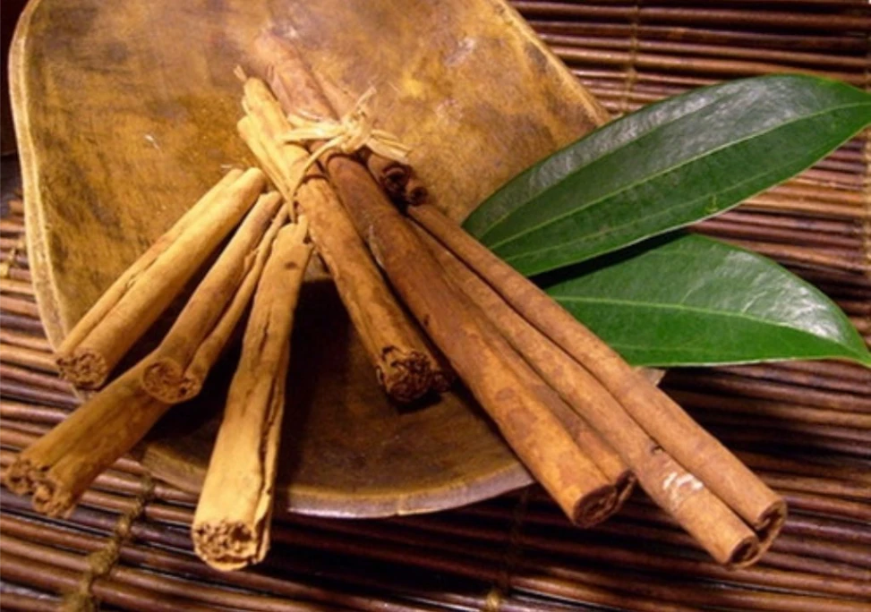 Hình ảnh vị thuốc Quế chi