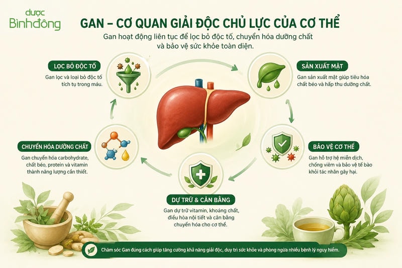 Sơ đồ các nhóm hỗ trợ giải độc gan tại nhà gồm trà thảo dược, nước mát, rau xanh và món ăn.