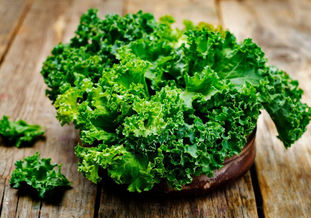 Hình chụp về cải Kale