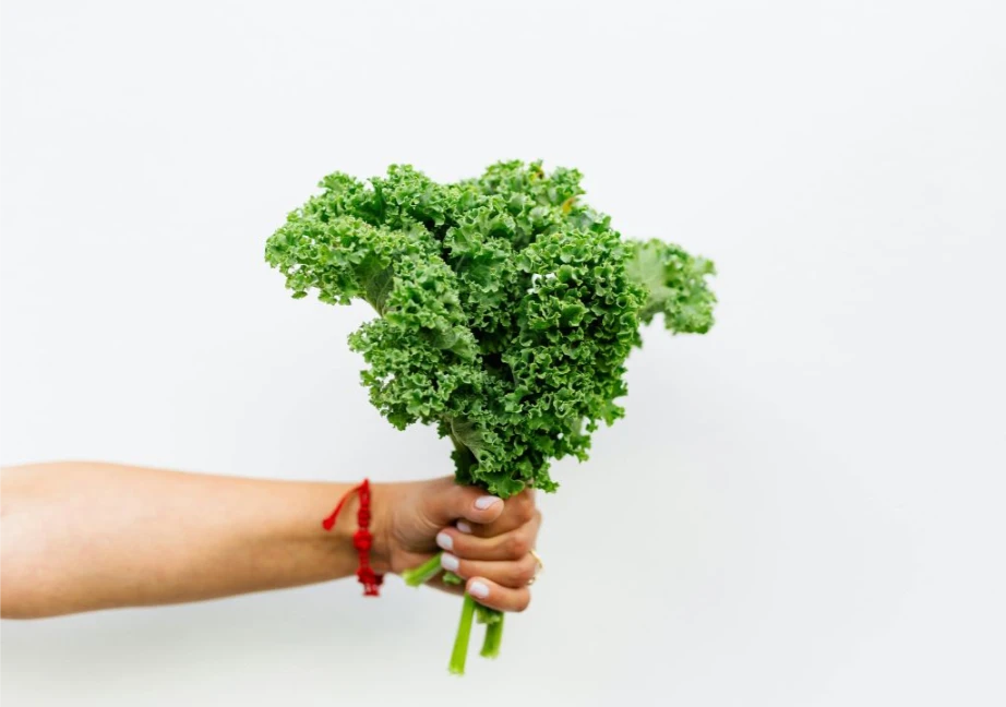Hình chụp về cải Kale
