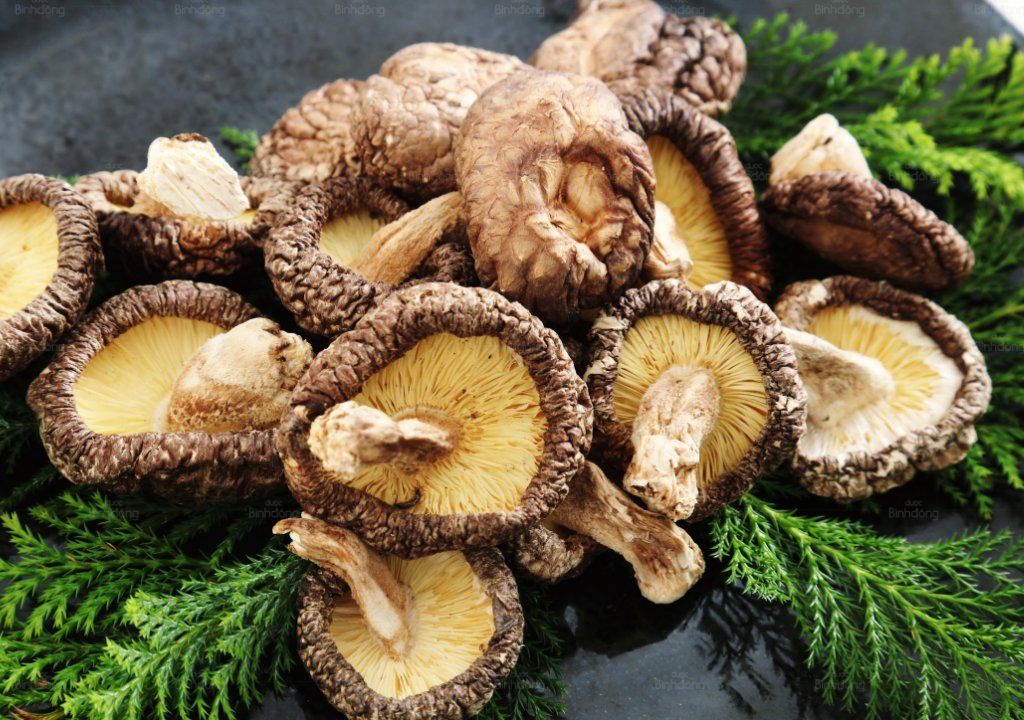 Hình chụp về Nấm Shiitake