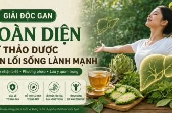 Minh họa lá gan ở trung tâm cùng các tín hiệu nóng trong, mệt mỏi và nổi mụn.
