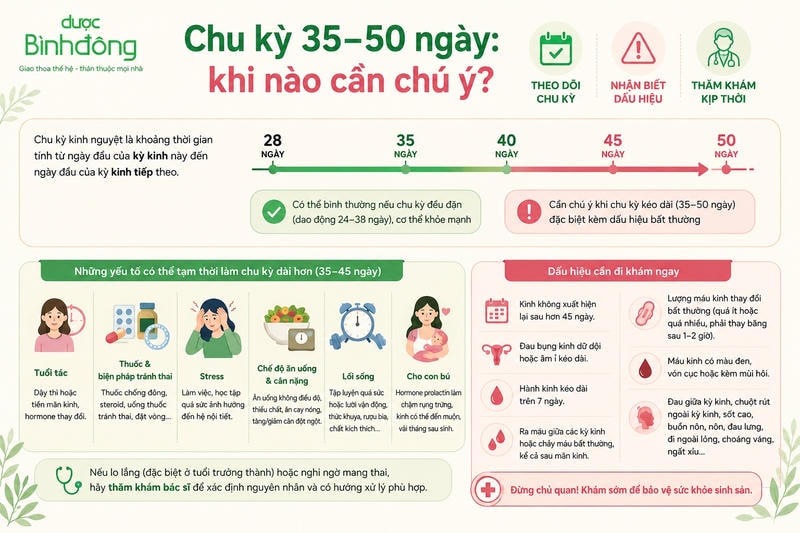 Infographic chu kỳ kinh nguyệt 35–50 ngày cho thấy cần chú ý khi chu kỳ kéo dài kèm dấu hiệu bất thường.
