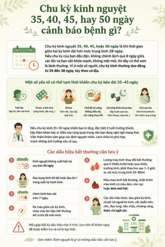 Infographic cho thấy chu kỳ kinh nguyệt 35–50 ngày có thể liên quan nhiều yếu tố và cần chú ý khi kèm dấu hiệu bất thường.