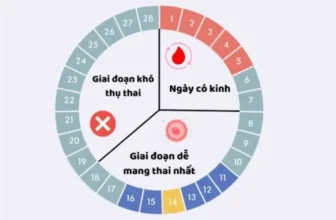 Chu kỳ kinh nguyệt của phụ nữ