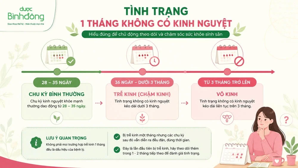 Timeline phân biệt chu kỳ bình thường 28–35 ngày, trễ kinh dưới 3 tháng và vô kinh từ 3 tháng trở lên.