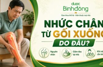 Thumbnail nhức chân từ gối xuống do đâu