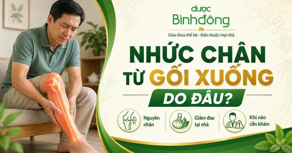 Thumbnail nhức chân từ gối xuống do đâu