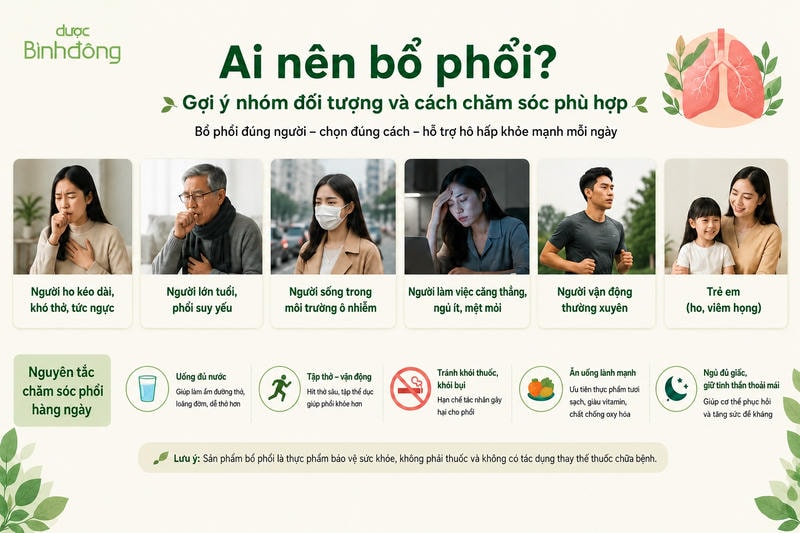 Infographic minh họa các nhóm đối tượng cần chú ý khi bổ phổi và nguyên tắc chăm sóc phổi hằng ngày.