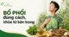 Thumbnail minh họa chủ đề bổ phổi đúng cách với người nam nhắm mắt hít thở thư giãn, vùng phổi được làm nổi bật, bên cạnh là trà thảo dược, gừng, bạc hà và dược liệu hỗ trợ chăm sóc hệ hô hấp; góc trên bên trái có logo Dược Bình Đông.
