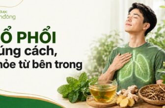 Thumbnail minh họa chủ đề bổ phổi đúng cách với người nam nhắm mắt hít thở thư giãn, vùng phổi được làm nổi bật, bên cạnh là trà thảo dược, gừng, bạc hà và dược liệu hỗ trợ chăm sóc hệ hô hấp; góc trên bên trái có logo Dược Bình Đông.