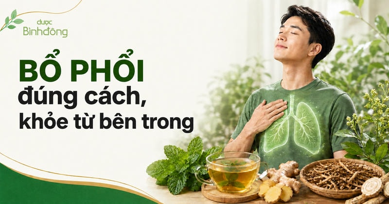 Thumbnail minh họa chủ đề bổ phổi đúng cách với người nam nhắm mắt hít thở thư giãn, vùng phổi được làm nổi bật, bên cạnh là trà thảo dược, gừng, bạc hà và dược liệu hỗ trợ chăm sóc hệ hô hấp; góc trên bên trái có logo Dược Bình Đông.