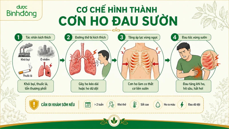 Cơ chế Ho đau sườn