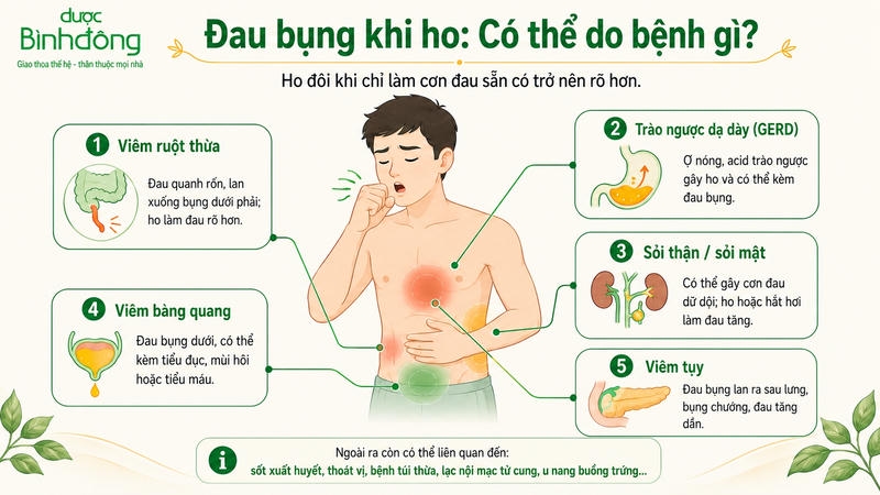Infographic cho thấy đau bụng khi ho có thể liên quan đến viêm ruột thừa, GERD, sỏi thận hoặc sỏi mật, viêm bàng quang và viêm tụy.
