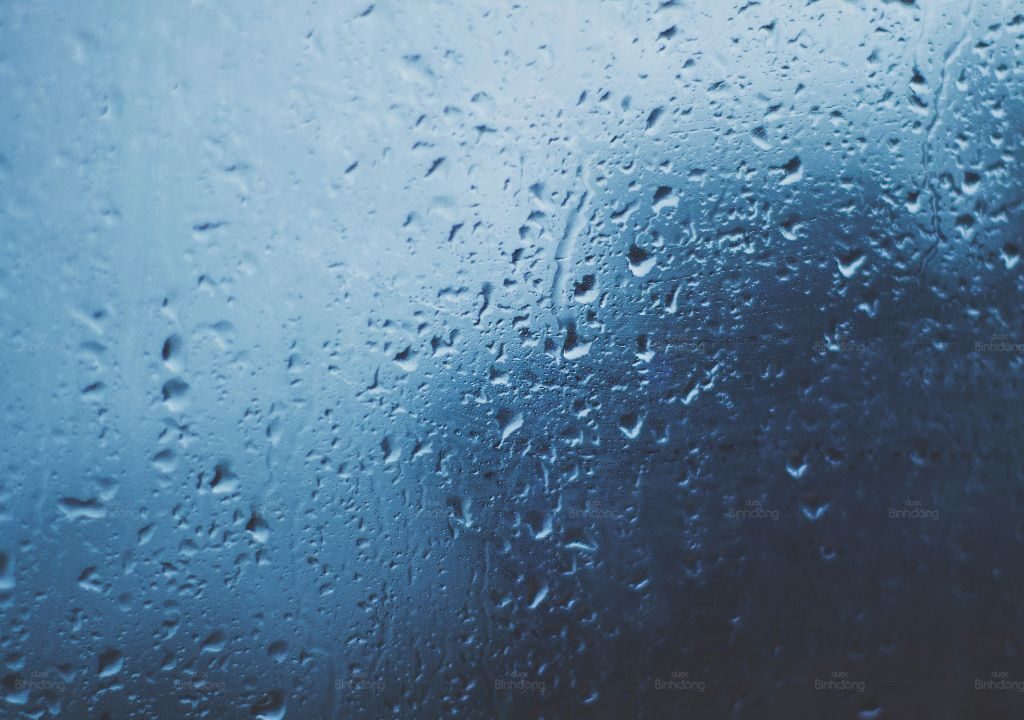 Hình chụp về Nồm