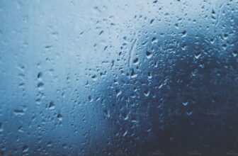 Hình chụp về Nồm