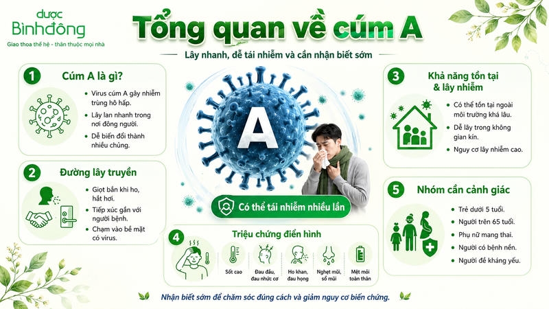 Tổng quan về cúm A
