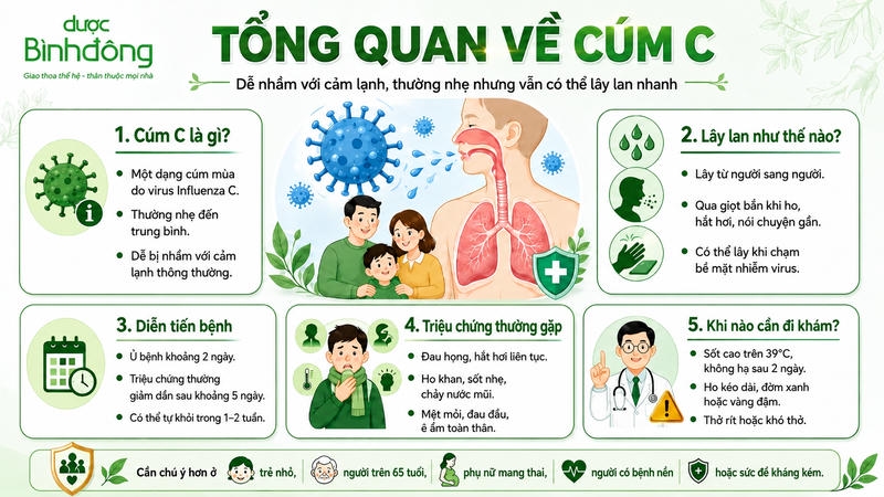 Infographic tổng quan về cúm C với 5 nhóm nội dung