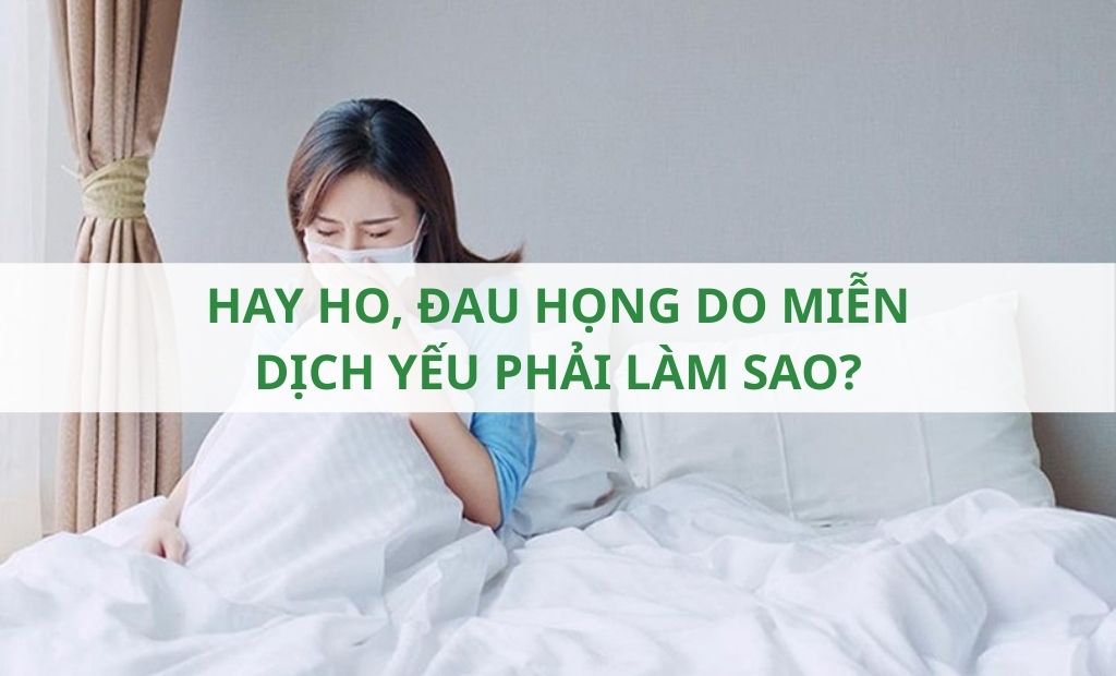Hay ho đau họng do miễn dịch yếu phải làm sao Hay ho đau họng do miễn dịch yếu phải làm sao