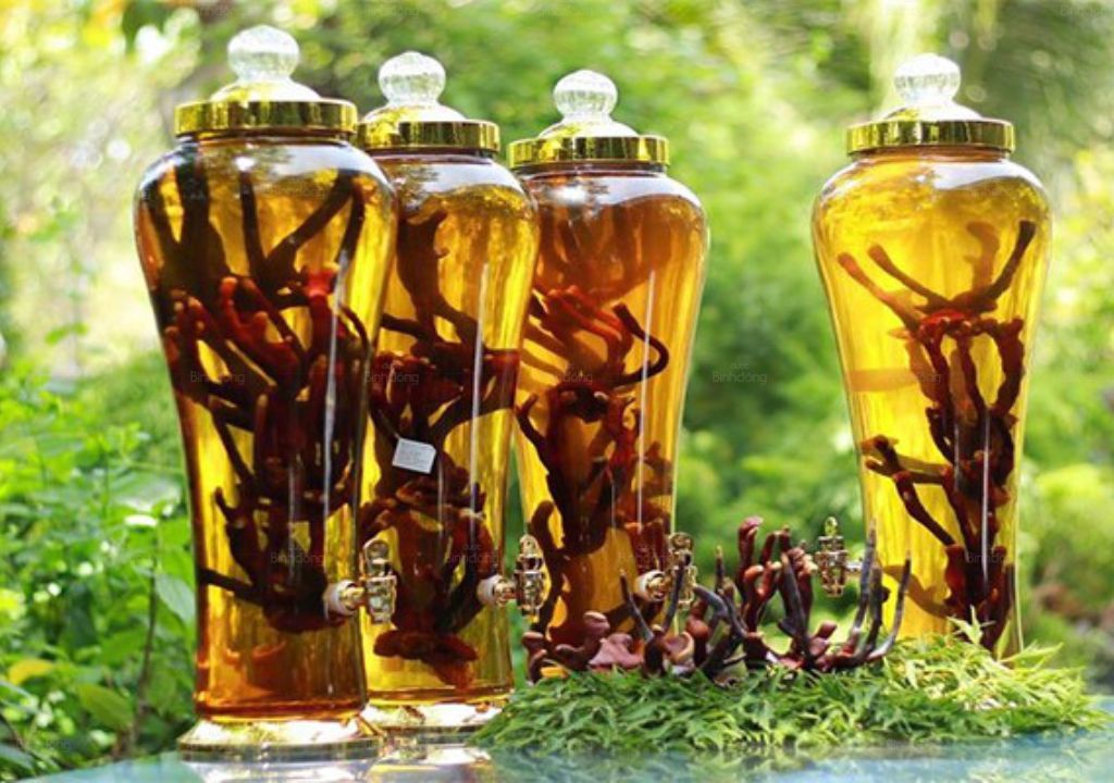 Hình chụp về ruou bo than trang duong nhung hươu thận hươu