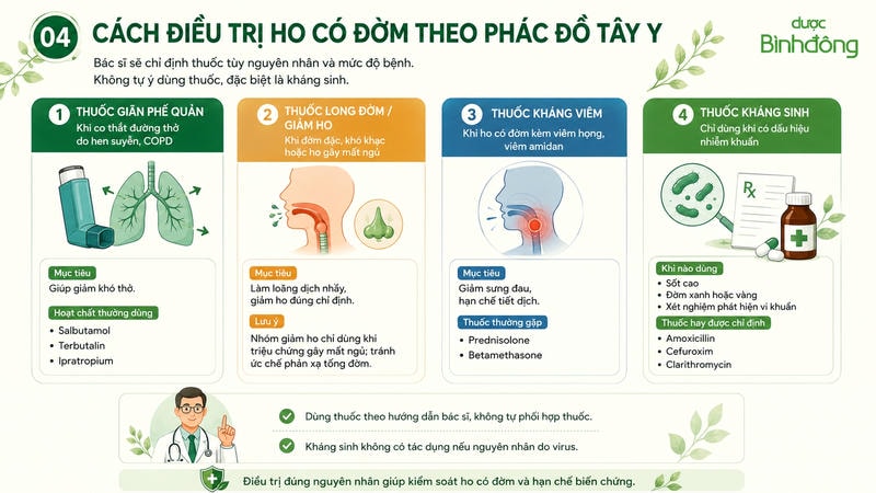 Infographic cách điều trị ho có đờm theo Tây y với 4 nhóm thuốc thường dùng theo chỉ định bác sĩ.