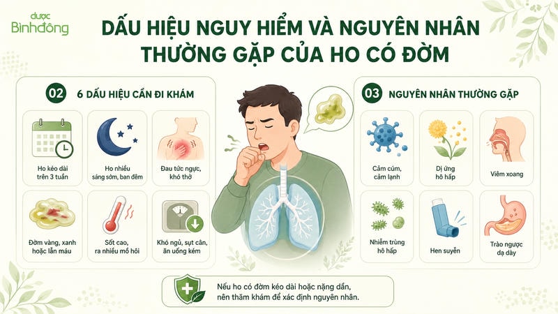 Infographic ho có đờm tổng hợp 6 dấu hiệu cần đi khám và 6 nguyên nhân thường gặp.