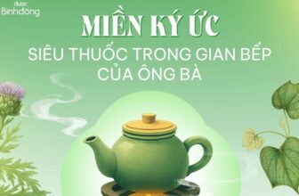 Dược Bình Đông: Hành trình bền vững đồng hành cùng sức khỏe gia đình Việt