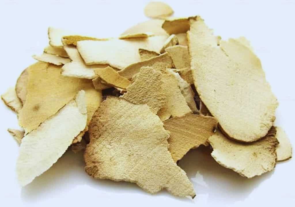 Hình ảnh về cây thuốc thổ phục linh