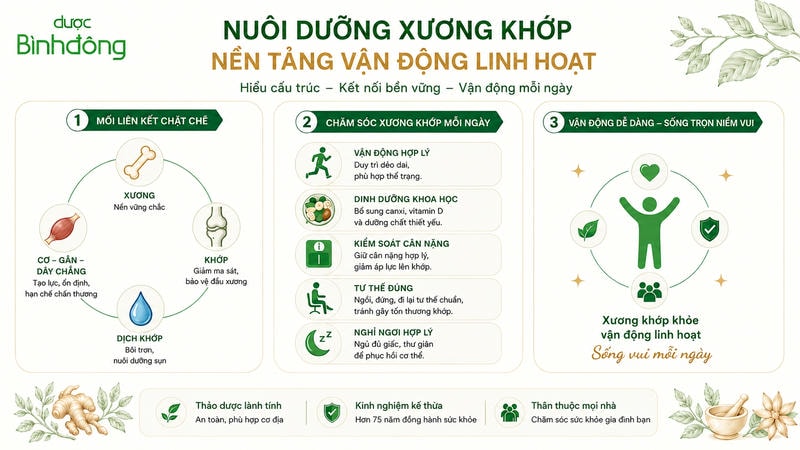 Infographic nuôi dưỡng xương khớp với mối liên kết xương khớp, thói quen chăm sóc hằng ngày và vận động linh hoạt.