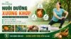 Thumbnail nuôi dưỡng xương khớp với người tập giãn cơ, khớp gối, checklist chăm sóc và nhóm giải pháp hỗ trợ