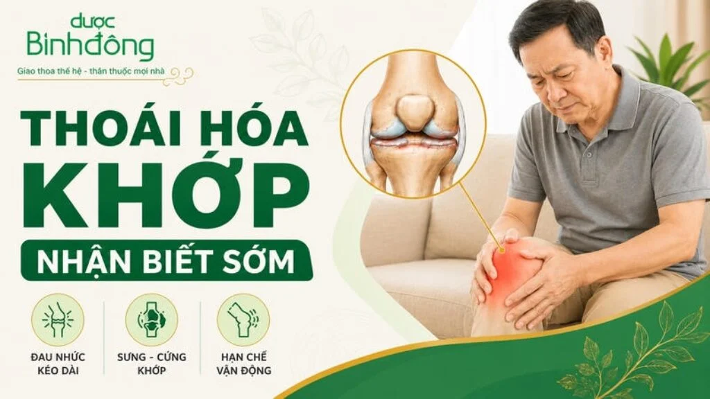 Thumbnail minh họa thoái hóa khớp với người đau gối, sơ đồ khớp và ba dấu hiệu đau nhức, sưng cứng, hạn chế vận động.