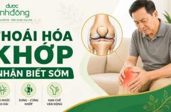 Thumbnail minh họa thoái hóa khớp với người đau gối, sơ đồ khớp và ba dấu hiệu đau nhức, sưng cứng, hạn chế vận động.