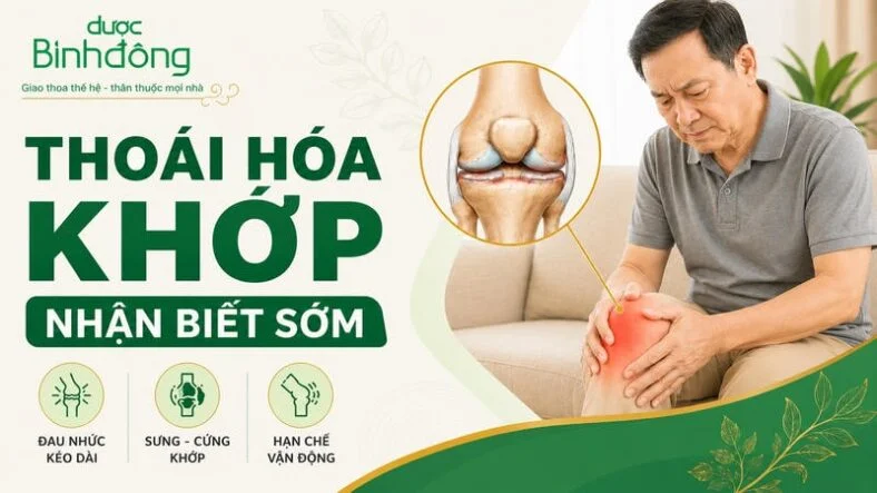 Thumbnail minh họa thoái hóa khớp với người đau gối, sơ đồ khớp và ba dấu hiệu đau nhức, sưng cứng, hạn chế vận động.