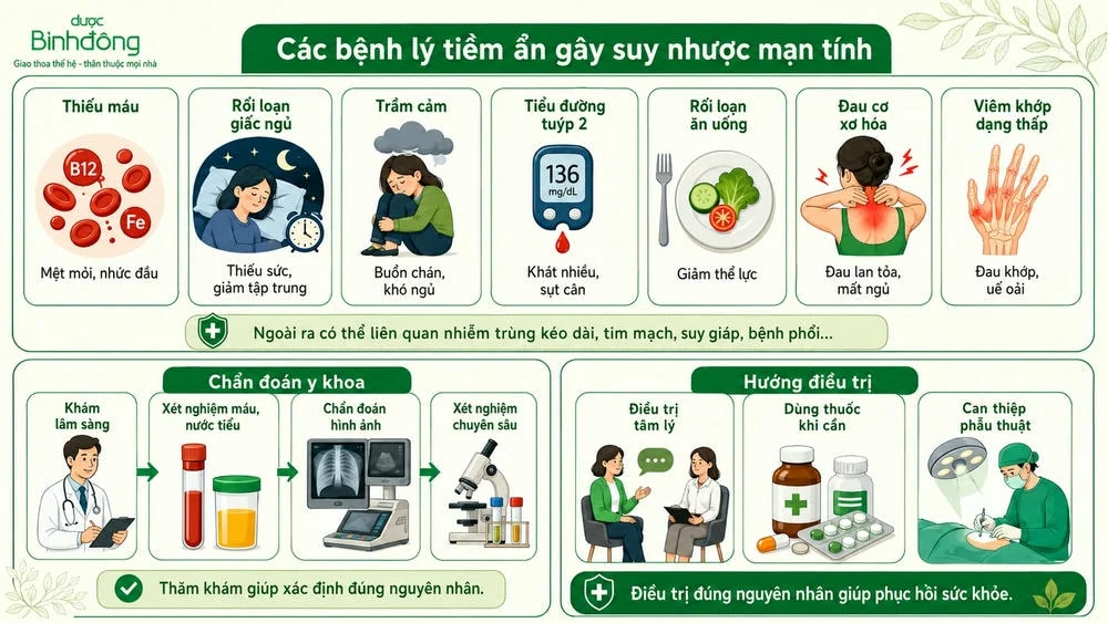 Infographic bệnh lý tiềm ẩn gây suy nhược mạn tính