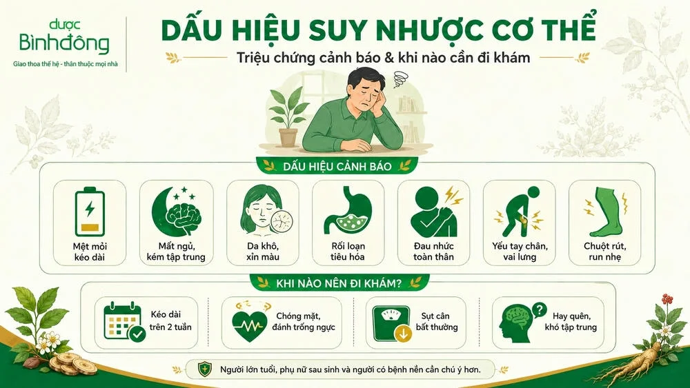 Infographic dấu hiệu suy nhược cơ thể và khi cần đi khám