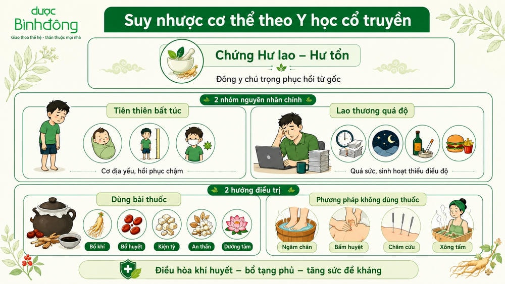 Infographic suy nhược cơ thể theo Y học cổ truyền