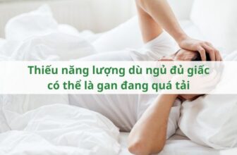Thiếu năng lượng dù ngủ đủ giấc có thể là gan đang quá tải
