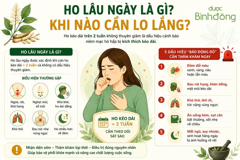 Infographic ho lâu ngày là gì, mô tả ho kéo dài trên 2 tuần, biểu hiện thường gặp và 5 dấu hiệu báo động đỏ.