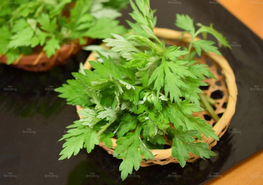 Ngải cứu tươi dùng hỗ trợ giảm đau bụng kinh và cải thiện tuần hoàn máu.