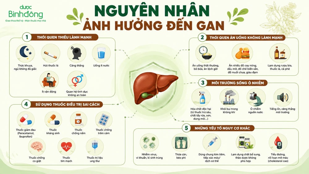 Infographic các nguyên nhân khiến gan bị quá tải