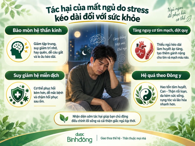 Infographic về tác hại của mất ngủ do stress kéo dài đến thần kinh, tim mạch, miễn dịch và sức khỏe tổng thể.