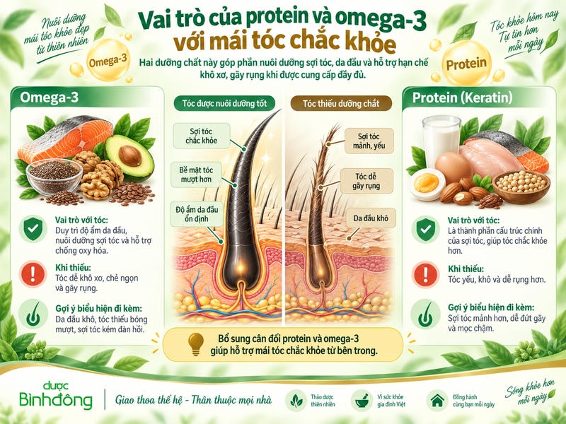 Infographic về omega-3 và protein, so sánh nang tóc khỏe với tóc suy yếu khi thiếu dưỡng chất.
